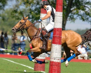 JLC Polo Masters