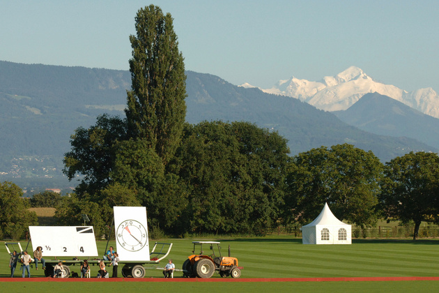 One of our Fields