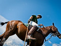 Picture of the week 30.05 - 05.06.2011