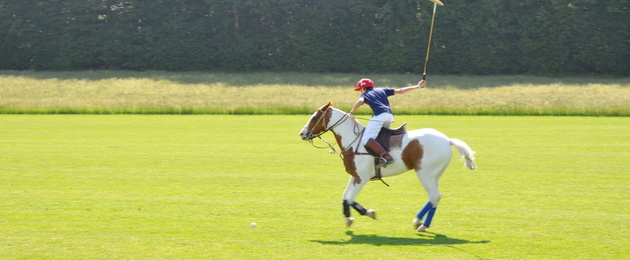 Stick & Ball